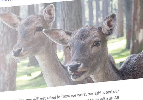 Hawkins Family Law Solicitors