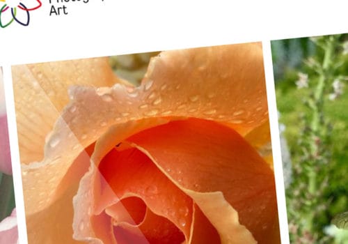 Vs Photographic Art